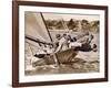 Crew of the "Arawatta" During the "Eighteen Footer" Race, Sydney Harbour, 9th April 1934-null-Framed Photographic Print