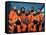 Crew of the Ill-Fated Space Shuttle Columbia-null-Framed Stretched Canvas