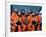 Crew of the Ill-Fated Space Shuttle Columbia-null-Framed Photo