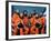 Crew of the Ill-Fated Space Shuttle Columbia-null-Framed Photo