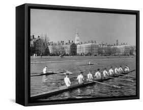 Crew Rowing on Charles River across from Harvard University Campus-Alfred Eisenstaedt-Framed Stretched Canvas