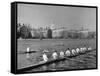 Crew Rowing on Charles River across from Harvard University Campus-Alfred Eisenstaedt-Framed Stretched Canvas