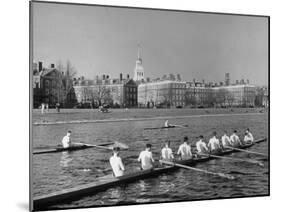 Crew Rowing on Charles River across from Harvard University Campus-Alfred Eisenstaedt-Mounted Photographic Print