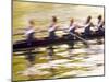 Crew Rowing, Seattle, Washington, USA-Terry Eggers-Mounted Premium Photographic Print