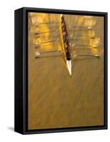 Crew Rowing, Seattle, Washington, USA-Terry Eggers-Framed Stretched Canvas