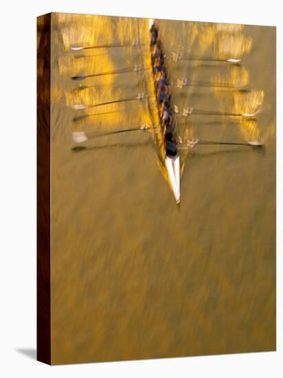 Crew Rowing, Seattle, Washington, USA-Terry Eggers-Stretched Canvas