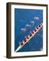 Crew Rowing, Seattle, Washington, USA-Terry Eggers-Framed Photographic Print