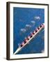 Crew Rowing, Seattle, Washington, USA-Terry Eggers-Framed Photographic Print