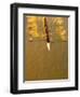 Crew Rowing, Seattle, Washington, USA-Terry Eggers-Framed Photographic Print