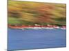 Crew Team on Water-null-Mounted Photographic Print