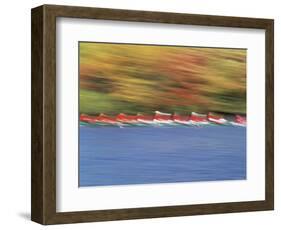 Crew Team on Water-null-Framed Photographic Print