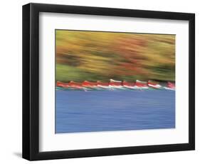 Crew Team on Water-null-Framed Photographic Print