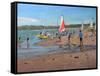 Cricket, 2011-Andrew Macara-Framed Stretched Canvas