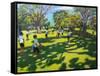 Cricket, 2011-Andrew Macara-Framed Stretched Canvas