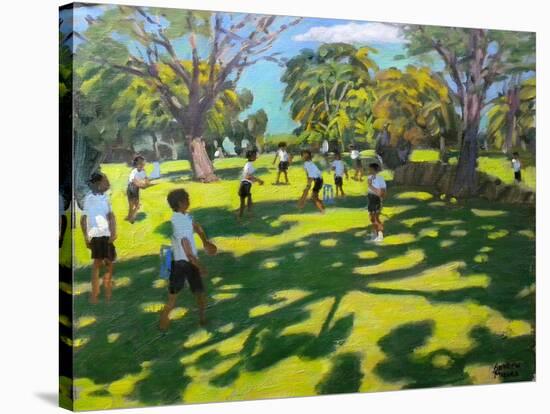 Cricket, 2011-Andrew Macara-Stretched Canvas