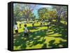 Cricket, 2011-Andrew Macara-Framed Stretched Canvas