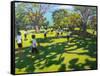 Cricket, 2011-Andrew Macara-Framed Stretched Canvas