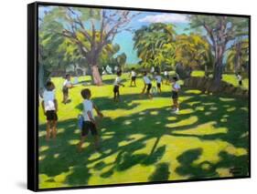 Cricket, 2011-Andrew Macara-Framed Stretched Canvas