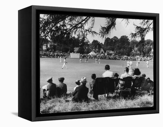 Cricket at Bearstead-null-Framed Stretched Canvas