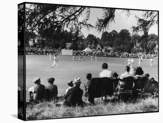 Cricket at Bearstead-null-Stretched Canvas