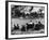 Cricket at Bearstead-null-Framed Photographic Print