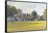 Cricket at Burton Court-Julian Barrow-Framed Stretched Canvas