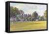 Cricket at Burton Court-Julian Barrow-Framed Stretched Canvas