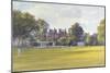 Cricket at Burton Court-Julian Barrow-Mounted Giclee Print