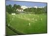 Cricket at Claygate, 1981-Liz Wright-Mounted Giclee Print