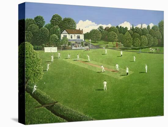 Cricket at Claygate, 1981-Liz Wright-Stretched Canvas