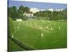 Cricket at Claygate, 1981-Liz Wright-Stretched Canvas