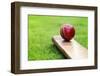 Cricket Ball Resting on a Cricket Bat on Green Grass of Cricket Pitch-Flynt-Framed Photographic Print