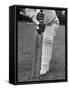 Cricket Bat-William Sumits-Framed Stretched Canvas