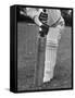 Cricket Bat-William Sumits-Framed Stretched Canvas