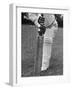 Cricket Bat-William Sumits-Framed Photographic Print