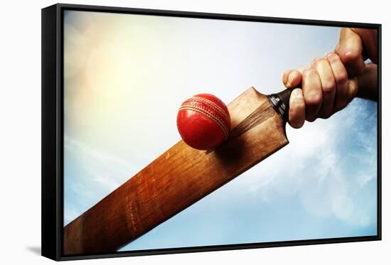 Cricket Batsman Hitting a Ball Shot from below against a Blue Sky-Flynt-Framed Stretched Canvas