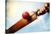 Cricket Batsman Hitting a Ball Shot from below against a Blue Sky-Flynt-Stretched Canvas