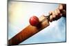 Cricket Batsman Hitting a Ball Shot from below against a Blue Sky-Flynt-Mounted Photographic Print