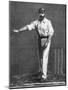 Cricket Bowling a Low Delivery-null-Mounted Art Print