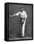 Cricket Bowling a Low Delivery-null-Framed Stretched Canvas