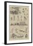 Cricket, England V Australia, at Kennington Oval-null-Framed Giclee Print