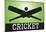 Cricket Green Sports Poster Print-null-Mounted Poster