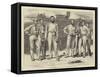 Cricket, Group of Crack Gentleman Players-null-Framed Stretched Canvas