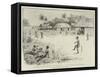 Cricket in India, Some Embryo Graces-null-Framed Stretched Canvas