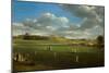 Cricket Match at Edenside, Carlisle, c.1844-Samuel Bough-Mounted Giclee Print