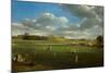 Cricket Match at Edenside, Carlisle, c.1844-Samuel Bough-Mounted Giclee Print