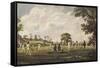 Cricket Match at Hambledon Hampshire-null-Framed Stretched Canvas