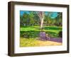 Cricket Match, St George, Granada, 2011-Andrew Macara-Framed Giclee Print