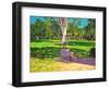 Cricket Match, St George, Granada, 2011-Andrew Macara-Framed Giclee Print