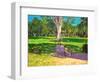 Cricket Match, St George, Granada, 2011-Andrew Macara-Framed Giclee Print